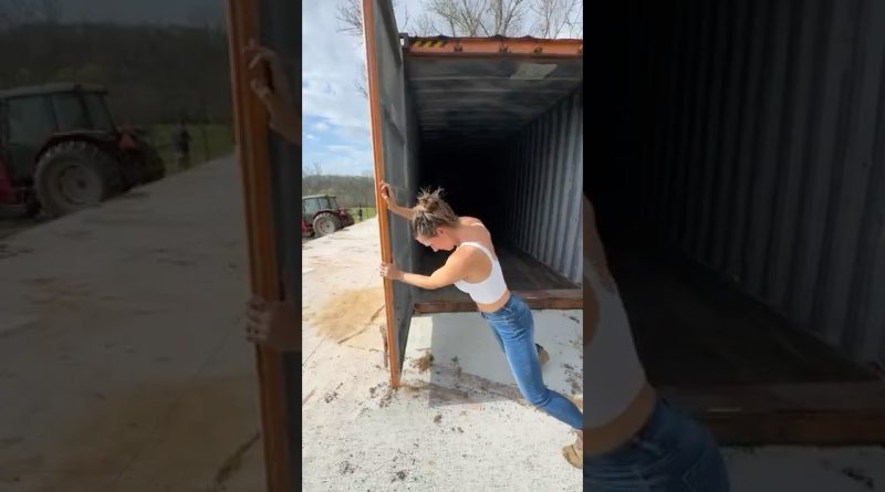 Cuisine Conteneur : L'Innovation au Service de Votre Espace