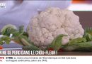 Cuisine : apprenez à cuisiner le chou-fleur de la racine aux fleurs