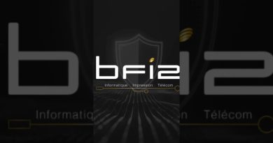 Cyberattaques : Les PME, cibles privilégiées et solutions