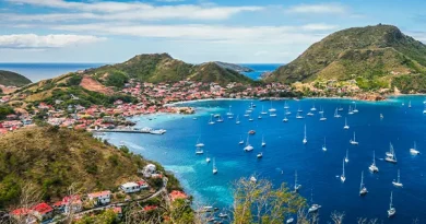 Cyclamed en Outre-Mer : la mobilisation collective face aux défis de la gestion des médicaments périmés ou non utilisés (MNU)