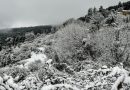De la neige pour Noël : Gard, Pic Saint-Loup, Aude… voici où les flocons devraient tomber dans la région pour les fêtes