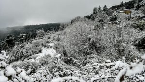 De la neige pour Noël : Gard, Pic Saint-Loup, Aude… voici où les flocons devraient tomber dans la région pour les fêtes