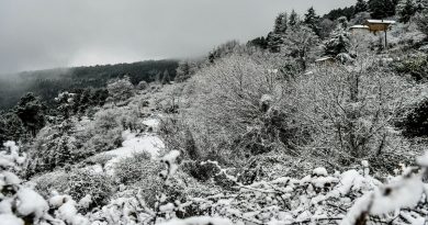 De la neige pour Noël : Gard, Pic Saint-Loup, Aude… voici où les flocons devraient tomber dans la région pour les fêtes