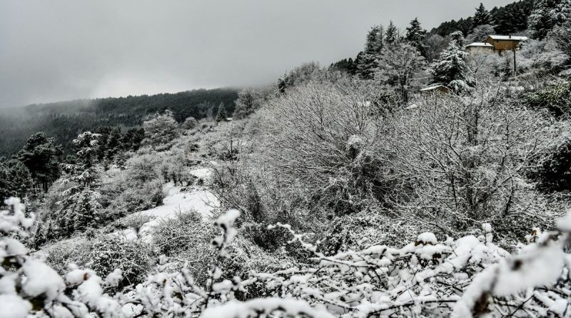 De la neige pour Noël : Gard, Pic Saint-Loup, Aude… voici où les flocons devraient tomber dans la région pour les fêtes