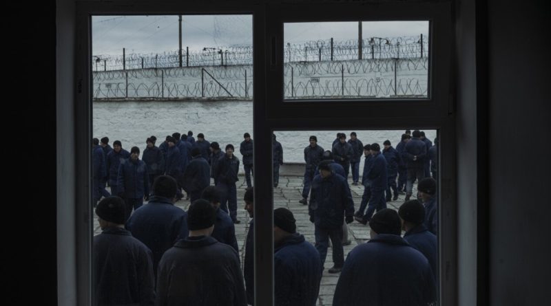 De retour au pays, les prisonniers de guerre russes sont toujours en vie, mais à quel prix ?