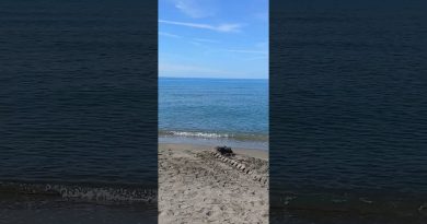 Découverte des Mers : Écosystèmes et Biodiversité