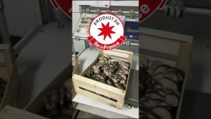 Découverte d'une entreprise pour notre souveraineté alimentaire