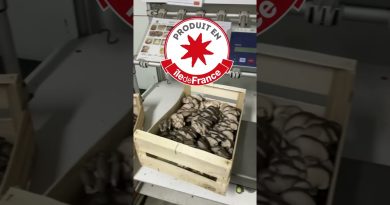 Découverte d'une entreprise pour notre souveraineté alimentaire