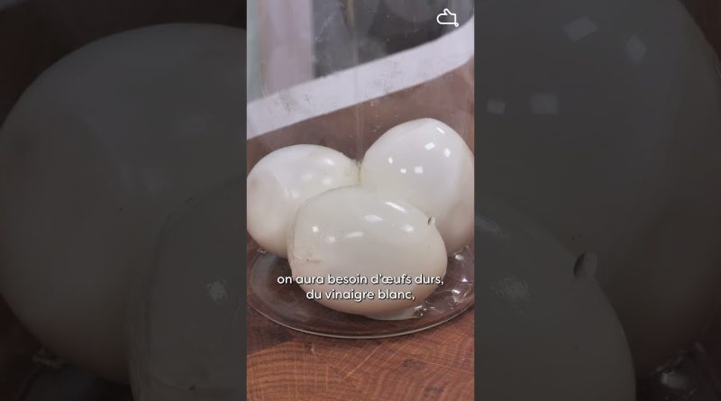 Découvrez comment préparer une mayonnaise sans moutarde !