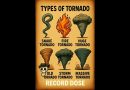 ⚡Découvrez des Tornades Inédites ! 🌪🔥 #Shorts