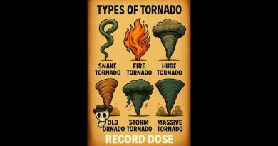 ⚡Découvrez des Tornades Inédites ! 🌪🔥 #Shorts