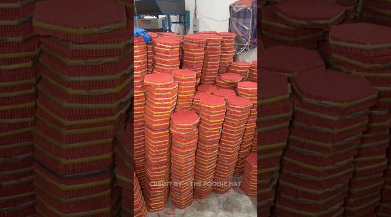 Découvrez la fabrication des pétards en usine ! 🎆