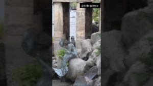 Découvrez la véritable sirène du fleuve Congo sur le pont Ledya