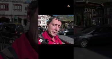 Découvrez le seul pays sans code de la route !