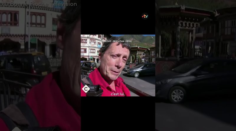 Découvrez le seul pays sans code de la route !