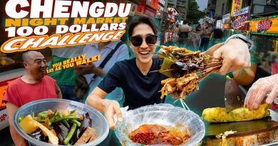 Défi de 100 $ au Marché de Nuit de Chengdu : Une Expérience Inoubliable !