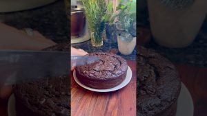 Délicieux gâteau au chocolat léger