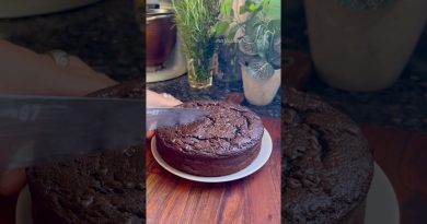 Délicieux gâteau au chocolat léger