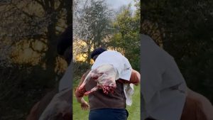 Délicieux ragoût de bélier : une recette savoureuse