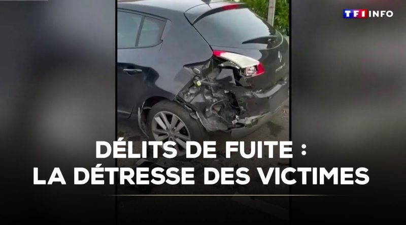Délits de fuite : la souffrance des victimes révélée