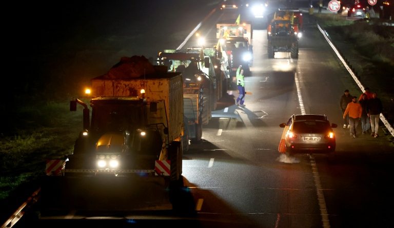 Dermatose: dans le Sud-Ouest, Genevard défend sa stratégie, assure "entendre" les éleveurs
