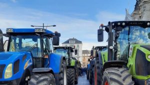 illustration agrandir l