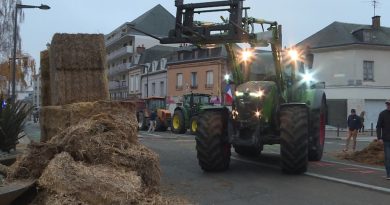 Dermatose nodulaire : en cas d'épidémie dans le Centre-Val de Loire, "on ne se fera pas abattre nos cheptels sans rien faire"