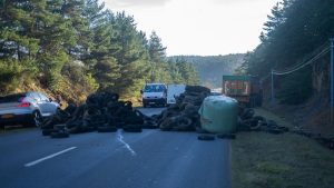 Dermatose nodulaire : la grogne se déplace dans le Nord-Aveyron ce lundi 15 décembre