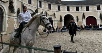 Des « animaux fantastiques » dans les écuries du château de Valençay