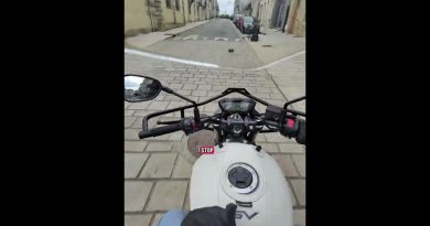 Des bandes de stop au sol ? Découvre-le ! 🛑📚