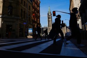 Des centaines d’animaux nuisibles infectent des édifices fédéraux