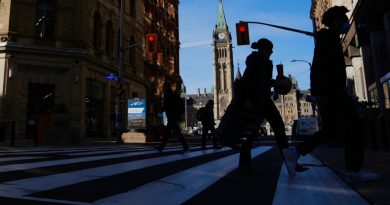 Des centaines d’animaux nuisibles infectent des édifices fédéraux