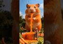 Des hamsters géants sauvent une grand-mère en détresse !