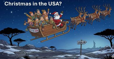 Des réfugiés sud-africains vers l'Amérique pour Noël ? 🎄✈️