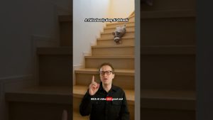 Des vidéos d'IA touchantes avec des chats adorables