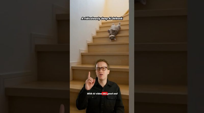 Des vidéos d'IA touchantes avec des chats adorables