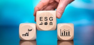 Détenteurs d'actifs face aux défis de l'investissement durable