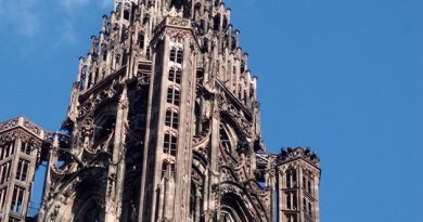 Grand Est, Strasbourg, Reims, vineyard, Alsace, Vosges, forest, cathedral, village