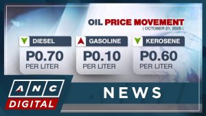 Diesel en baisse, légère hausse des prix de l'essence
