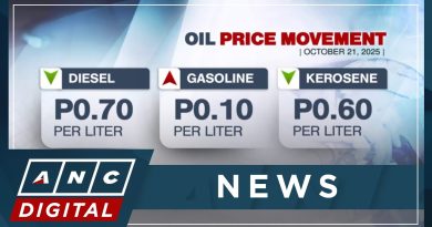 Diesel en baisse, légère hausse des prix de l'essence