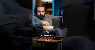 Divertissement : déceptions et rachats chez Spotify et Paramount