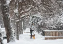 Du froid et de la poudrerie continuent de toucher l’Alberta
