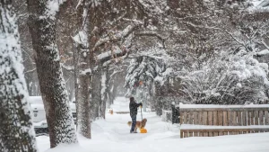 Du froid et de la poudrerie continuent de toucher l’Alberta