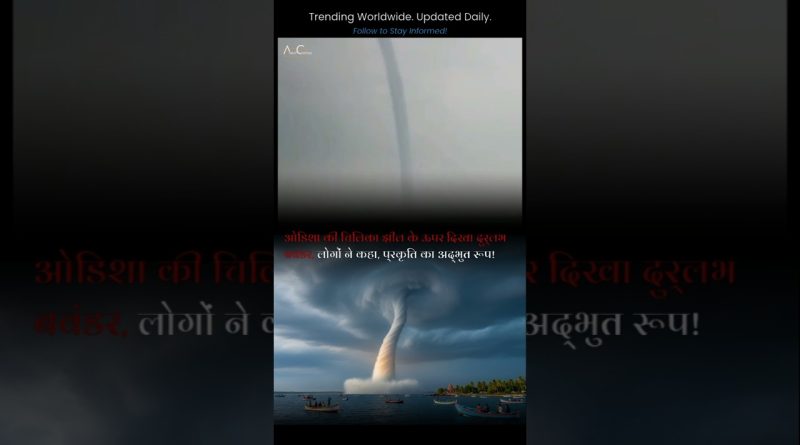 Duel rare : un bourdonnement au-dessus de la lac Chilika