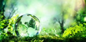 Durabilité : les défis de l'Europe pour une simplification efficace