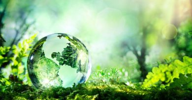 Durabilité : les défis de l'Europe pour une simplification efficace