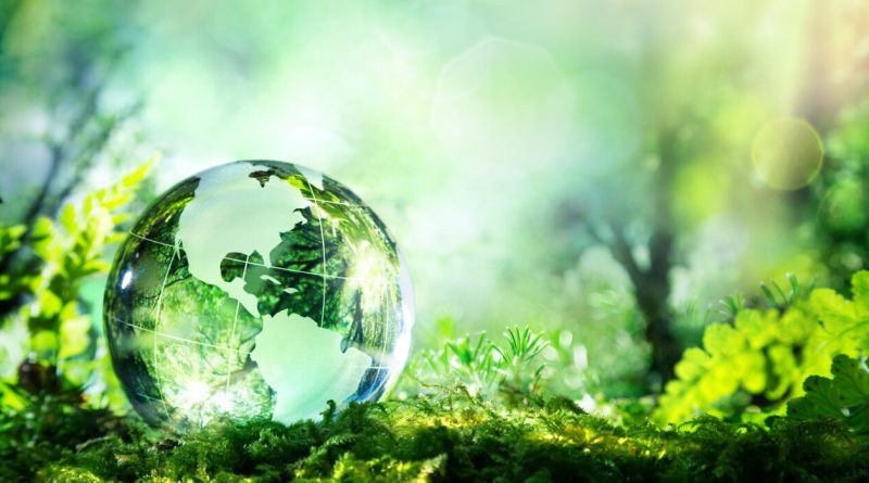 Durabilité : les défis de l'Europe pour une simplification efficace