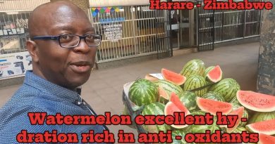 E-passeport : le document de voyage biométrique révolutionnaire