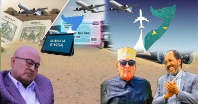 E-visa : Une avancée pour la gestion des demandes de visa