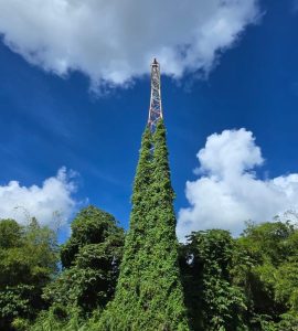 EDF et la Maison de l’Avocat souhaitent un Joyeux Noël à la Martinique